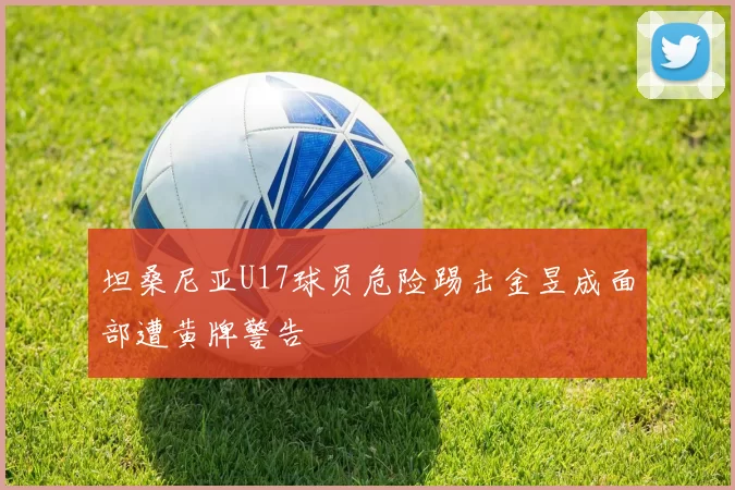 坦桑尼亚U17球员危险踢击金昱成面部遭黄牌警告