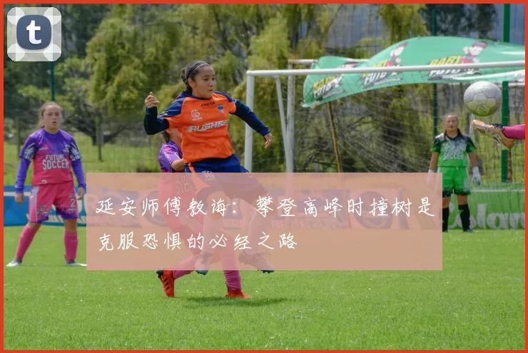 延安师傅教诲：攀登高峰时撞树是克服恐惧的必经之路