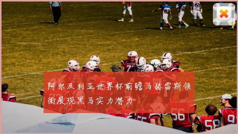 阿尔及利亚世界杯前瞻马赫雷斯领衔展现黑马实力潜力
