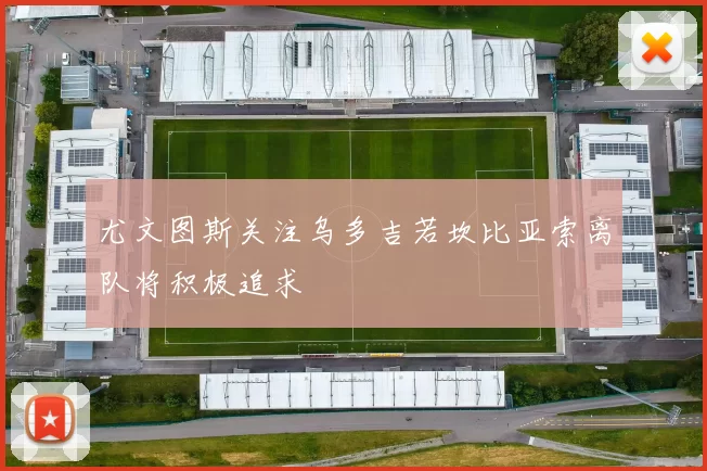 尤文图斯关注乌多吉若坎比亚索离队将积极追求