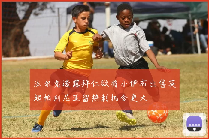 法尔克透露拜仁欲将小伊布出售英超帕利尼亚留热刺机会更大